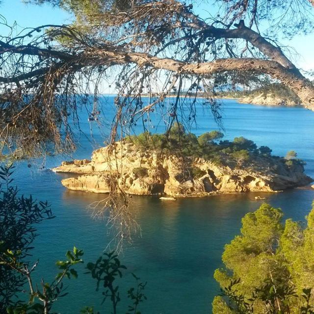 Nautic Διαμέρισμα L'Ametlla de Mar Εξωτερικό φωτογραφία
