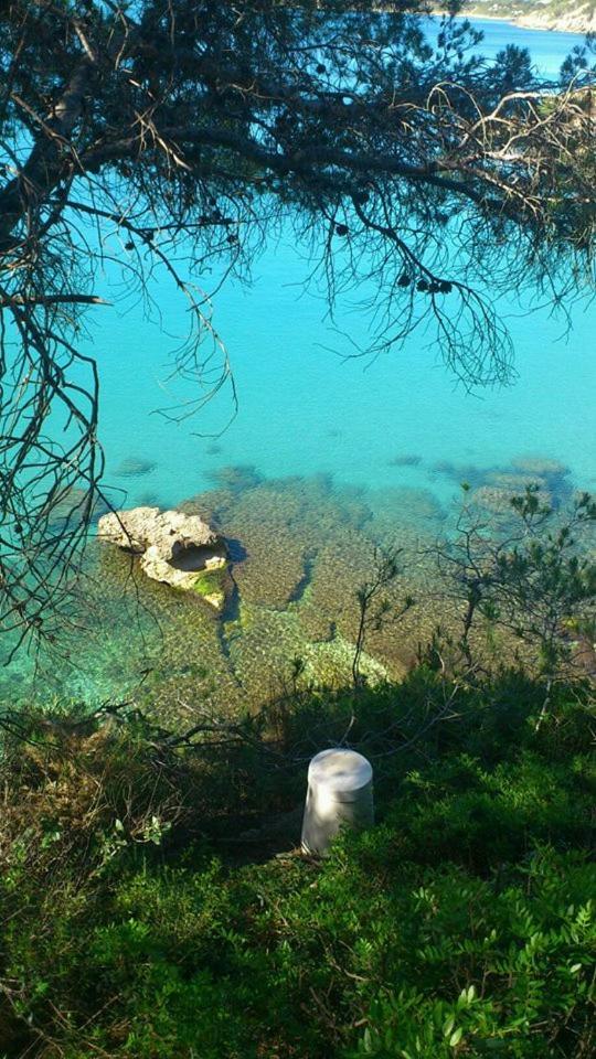 Nautic Διαμέρισμα L'Ametlla de Mar Εξωτερικό φωτογραφία