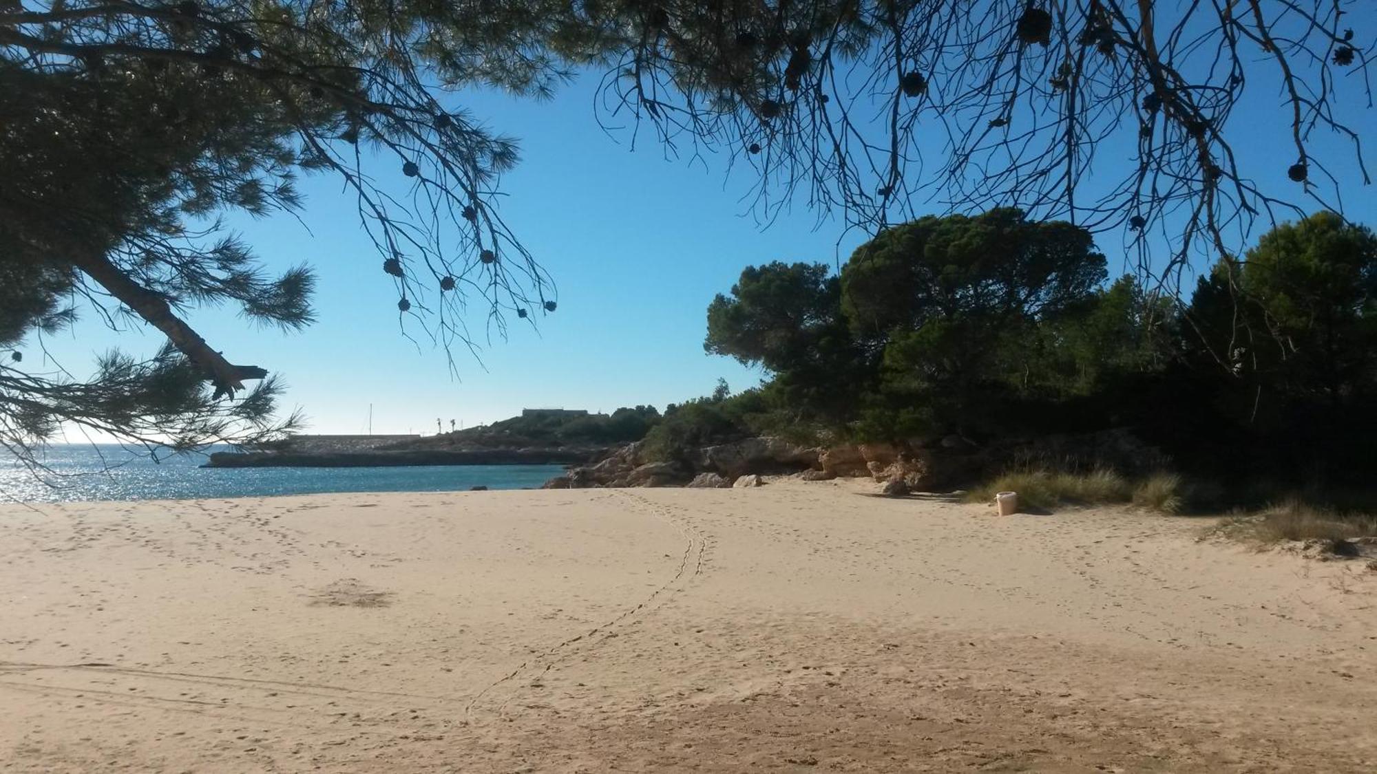 Nautic Διαμέρισμα L'Ametlla de Mar Εξωτερικό φωτογραφία