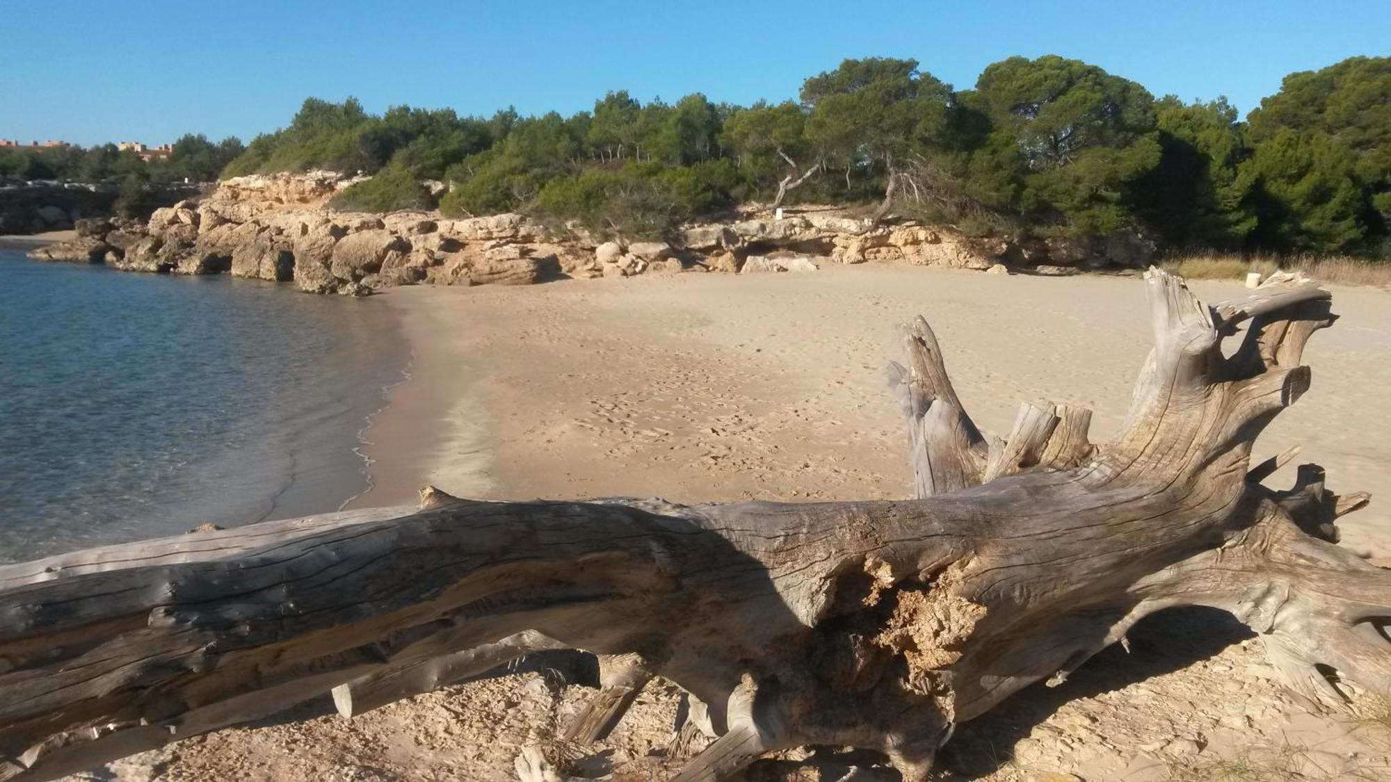 Nautic Διαμέρισμα L'Ametlla de Mar Εξωτερικό φωτογραφία