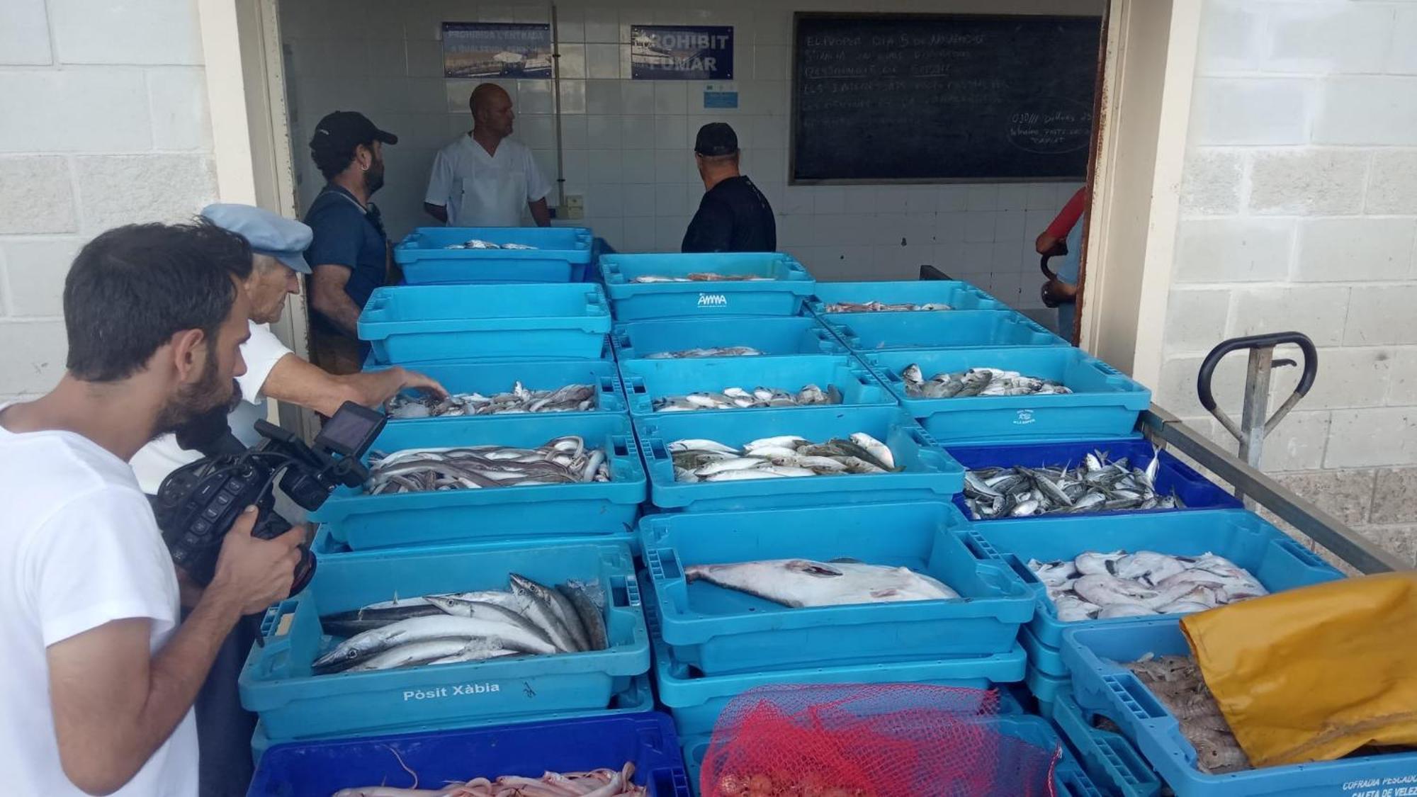 Nautic Διαμέρισμα L'Ametlla de Mar Εξωτερικό φωτογραφία